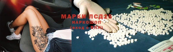 сатива Пересвет