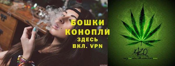PSILOCYBIN Пестово