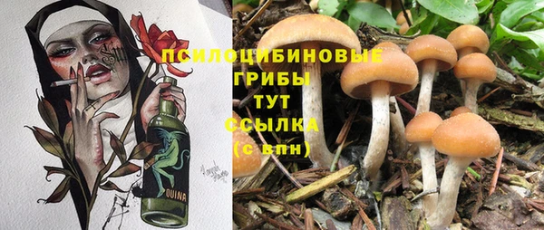 PSILOCYBIN Пестово