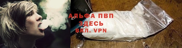 PSILOCYBIN Пестово