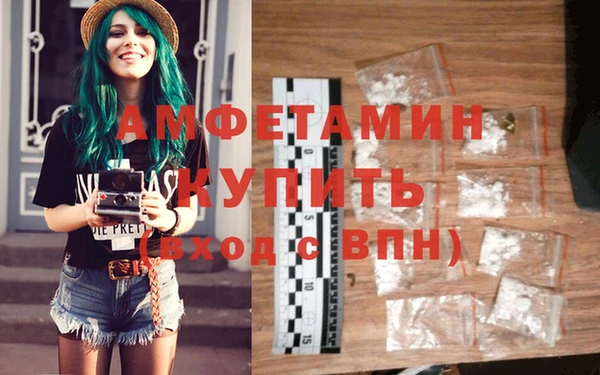 сатива Пересвет