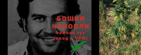 PSILOCYBIN Пестово